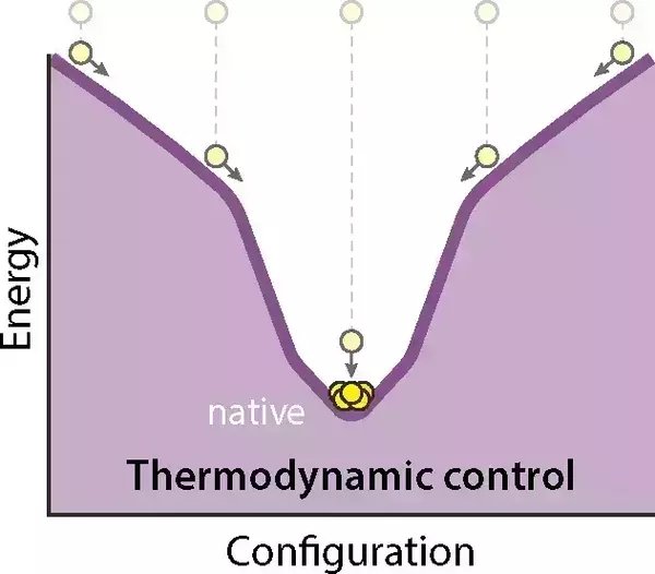 A purple graph demonstrating a thermodynamic energy landscape for protein folding. It shows a single funnel in a graph that leads to the native state.
